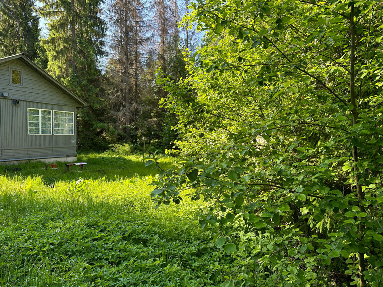 В таком домике вполне мог обитать Кажебаткин. Источник фото: https://avatars.mds.yandex.net/get-altay/754546/2a00000188bafa3efd3079725f292708eb0f/orig