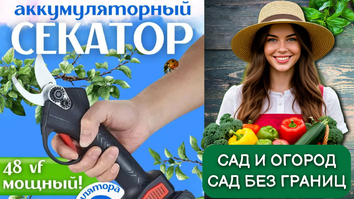 Аккумуляторный садовый секатор.