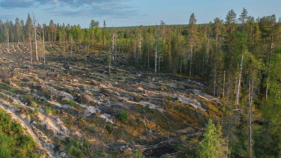    Фото: Global Look Press