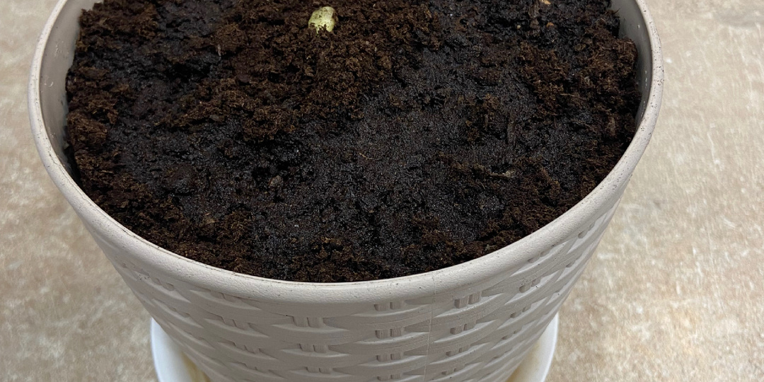 Мой дневник экономии. Дни 124–126: Три дня за раз — от бесплатных выходных до вынужденных трат