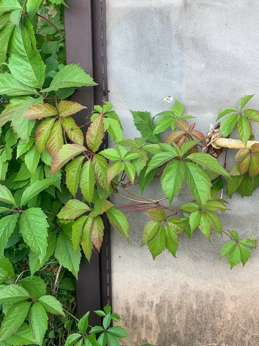 мой угол дома