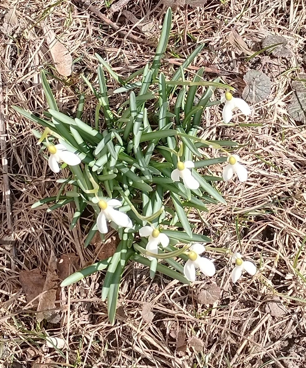 Из Калуги!, от Анечки, 