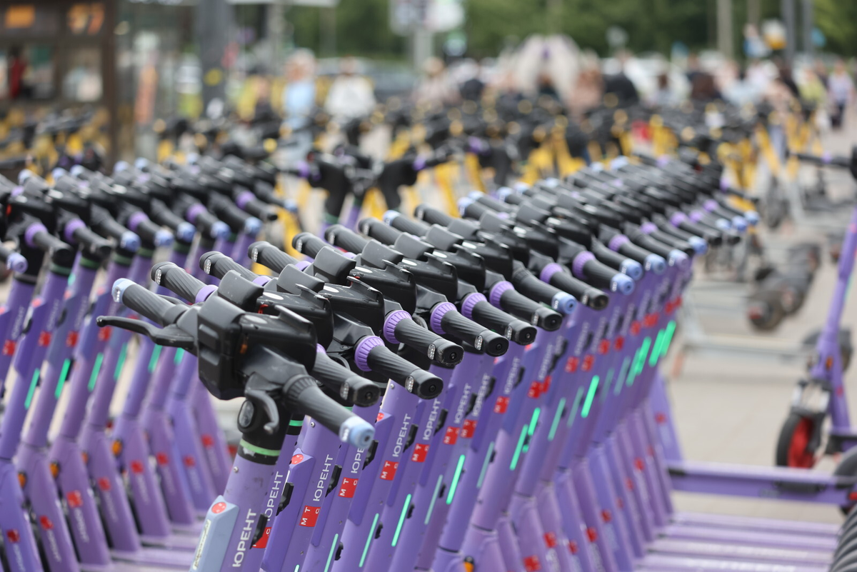 Фото: Дмитрий Фуфаев / «Петербургский дневник»