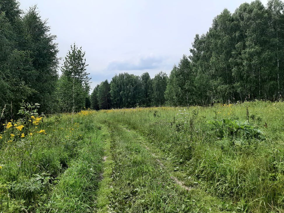 © Радугамира