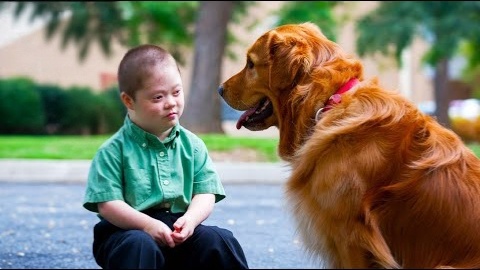 Солнечный мальчик сидел и грустил, с ним никто не играл. Но вдруг прибежала собака. И она изменила его судьбу