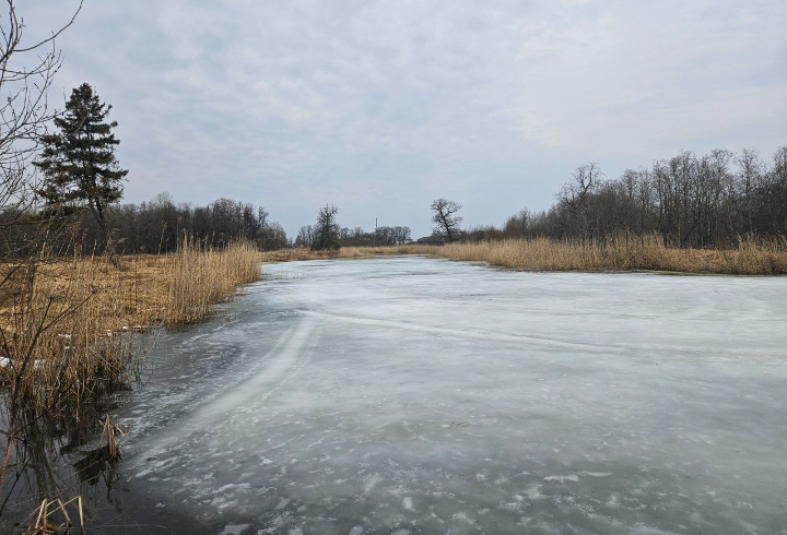 фото: t.me/tsoyvbg