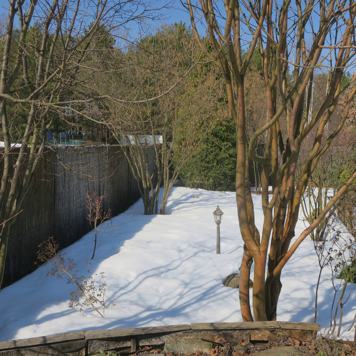 Вид на лесную зону