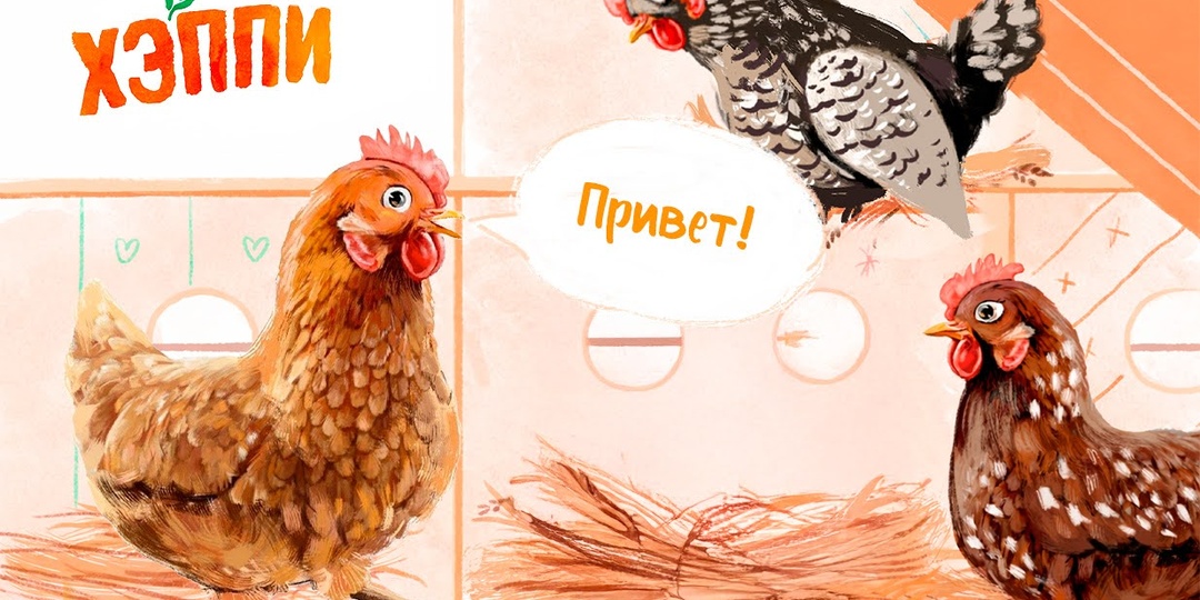 🐓 Как помочь адаптироваться в курятнике птице, если взяли ее на птицефабрике