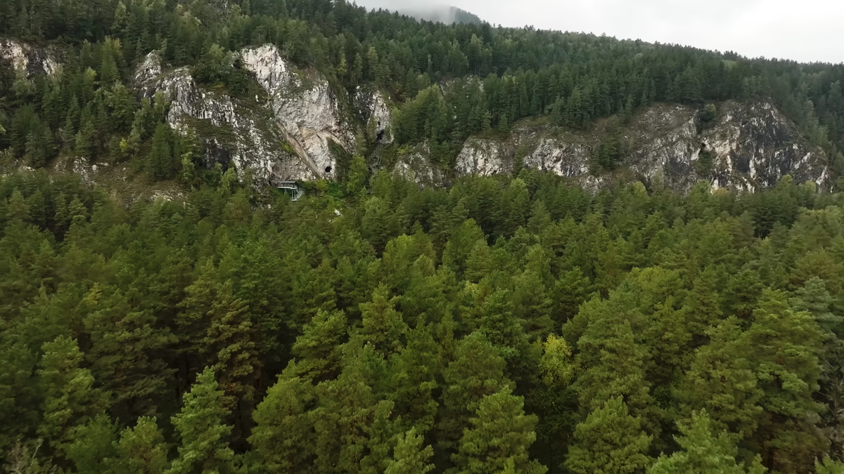 Подъем к Тавдинским пещерам — это проверка на выносливость и невероятные виды на Катунь в награду. А вы бы решились преодолеть эти сотни ступеней ради древних тайн
