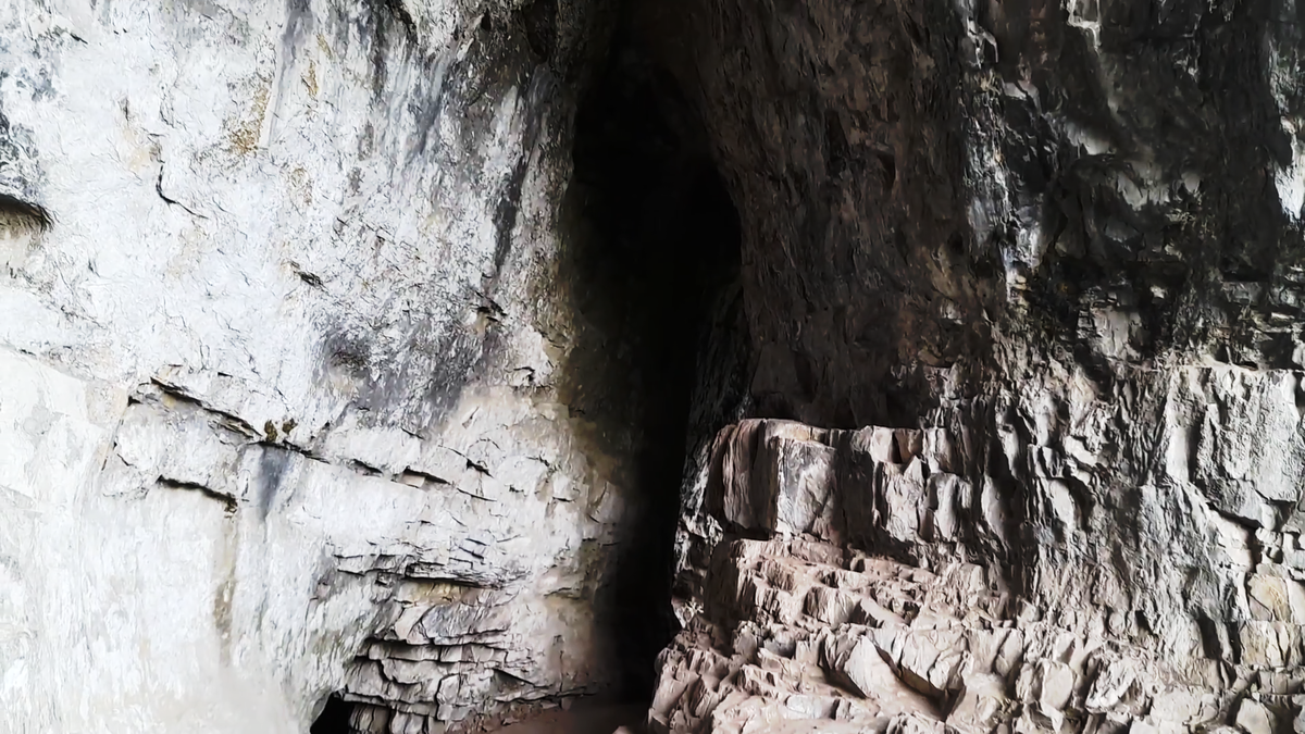 Тавдинские пещеры окутаны множеством легенд. Говорят, именно в этих лабиринтах спрятано утерянное золото адмирала Колчака, а в древности здесь находилось святилище. Взгляните на эти своды — они помнят события, происходившие тысячи лет назад. 