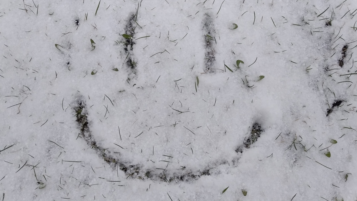 Фото из архива автора