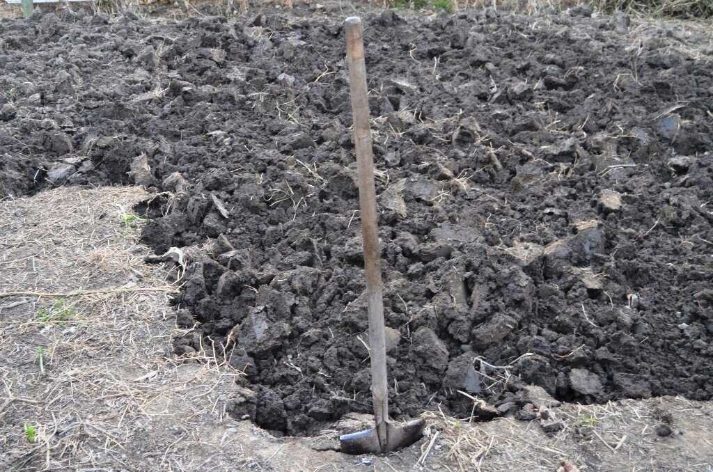 Мамин огород — это подвиг. Я хотела другой сценарий