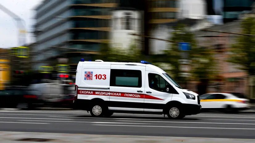    Источник: russian.rt.com Полина Белоусова