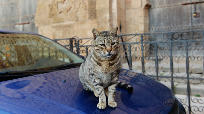    Фото: © РИА Новости/Наталья Селиверстова