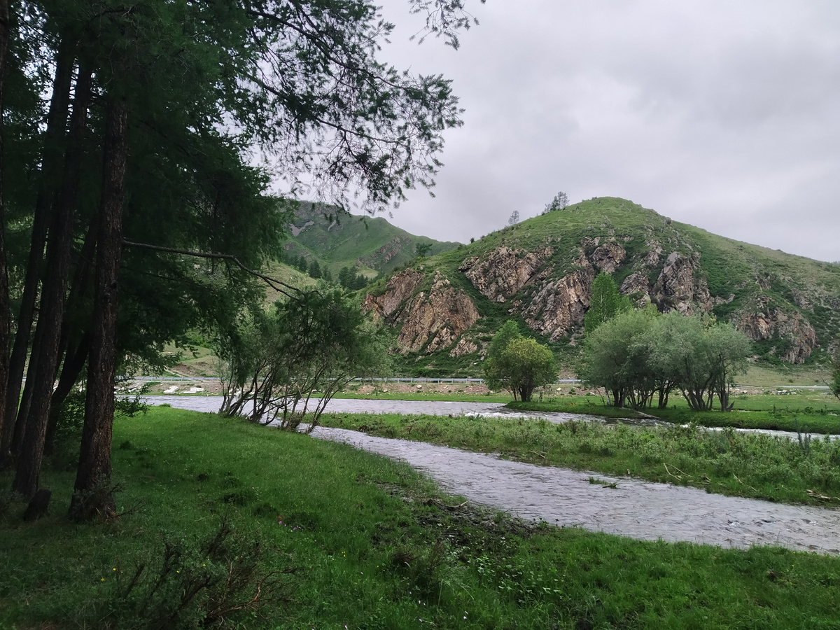 Местные горы Алтая