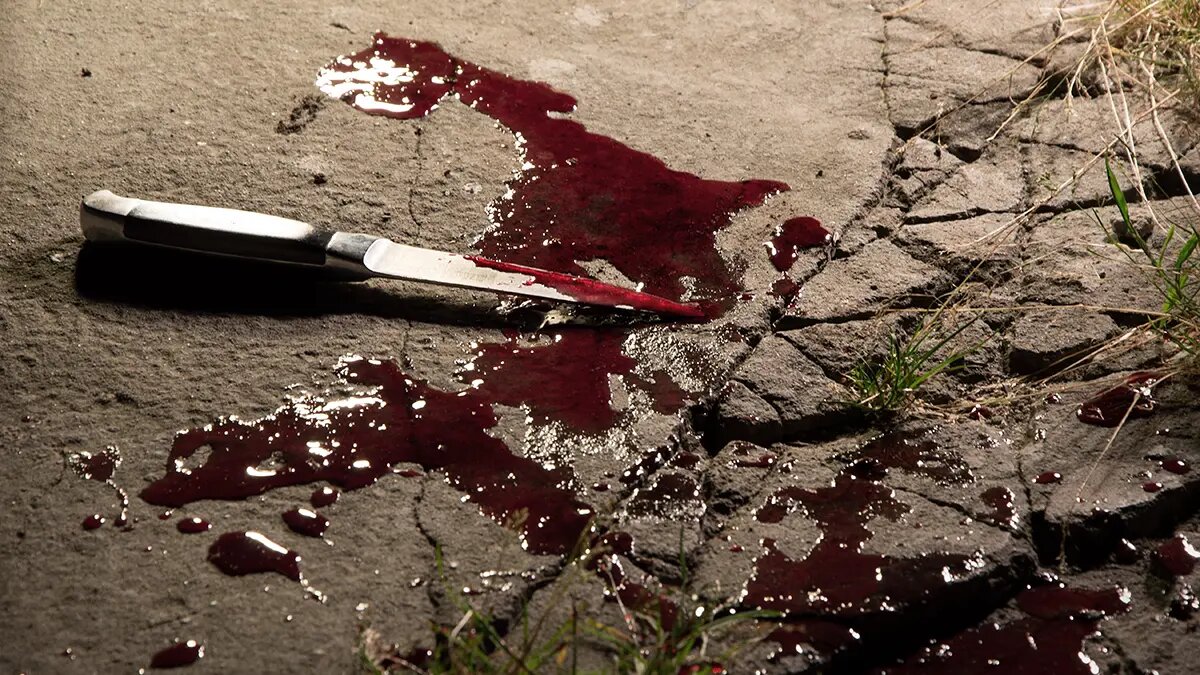    Источник: vm.ru/ Павел Евсеев