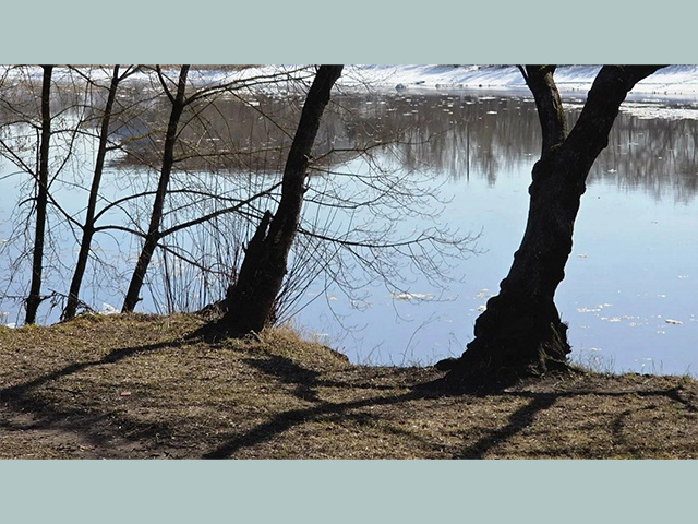 В Волге под Кимрами в Тверской области от загрязнений гибнет рыба