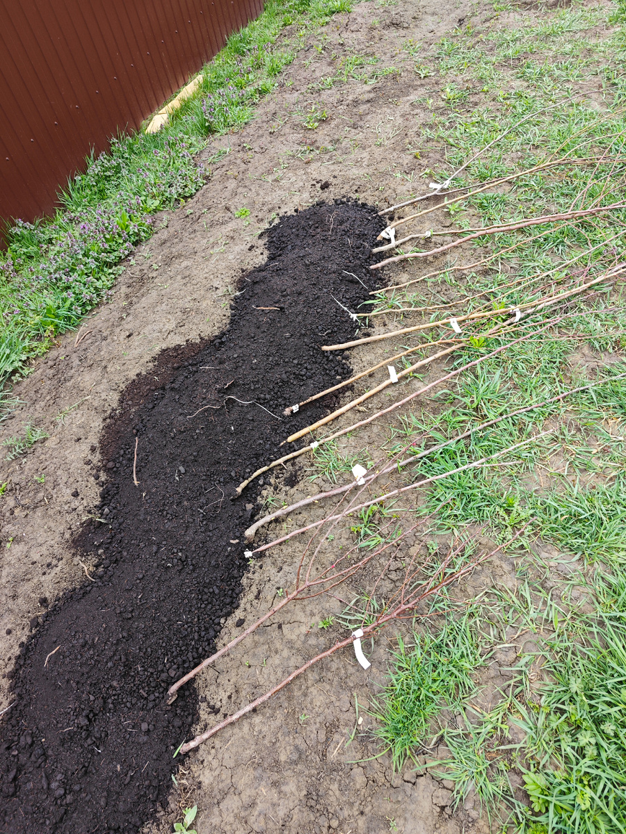 Ребята уже ждут посадки