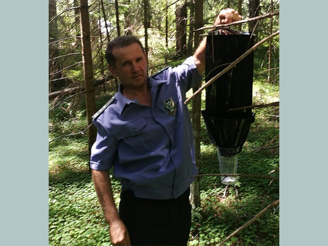 2600 феромонных ловушек поставит Россельхознадзор в Твери и Ярославле