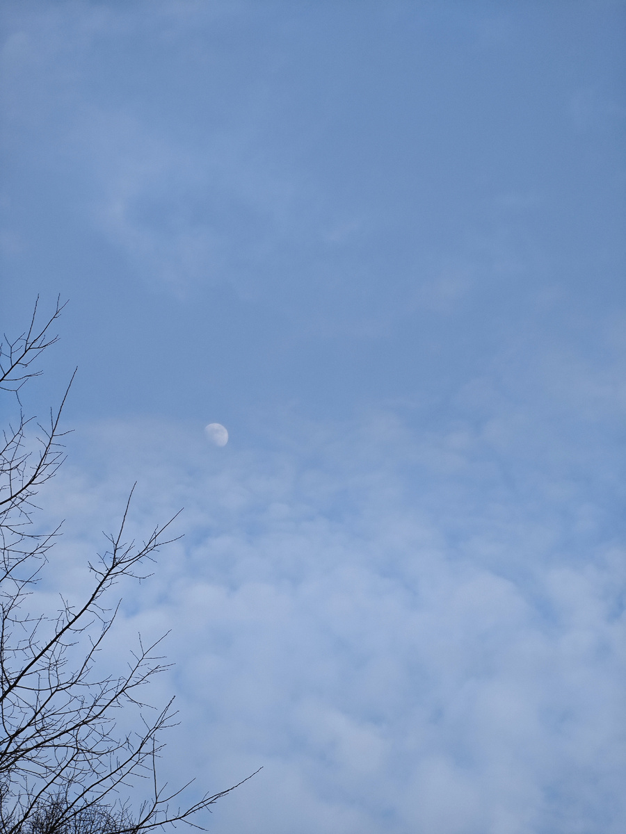 Фото автора канала 