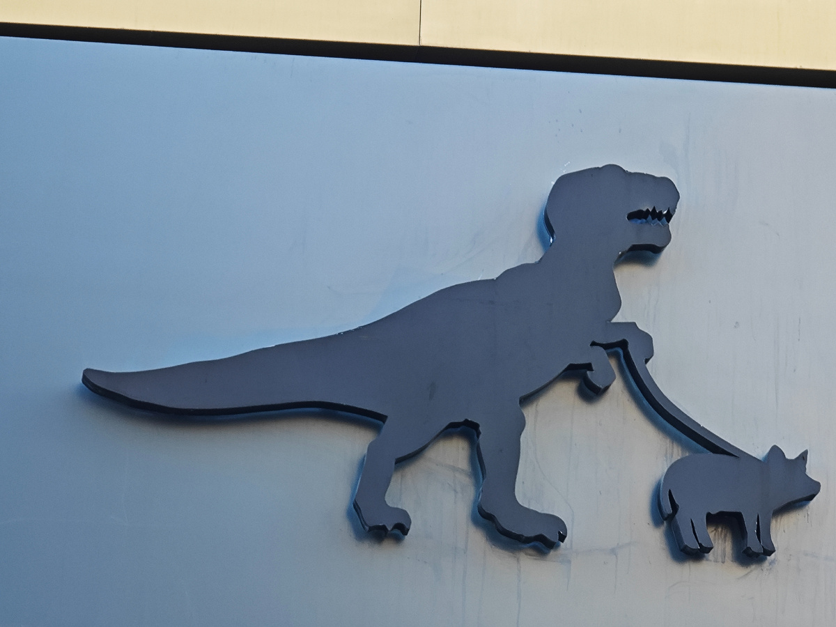 Фото автора канала 