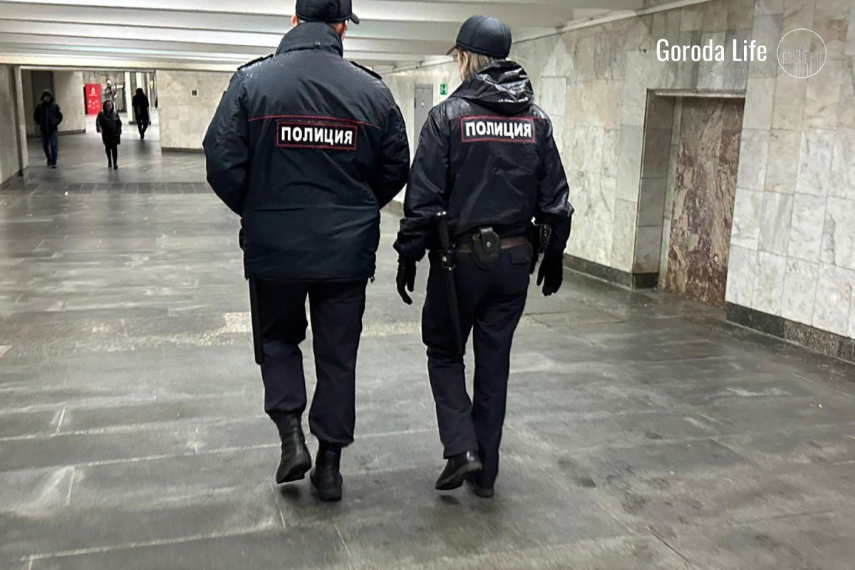    Госдума расширила полномочия транспортной полиции: дела передадут заместителям