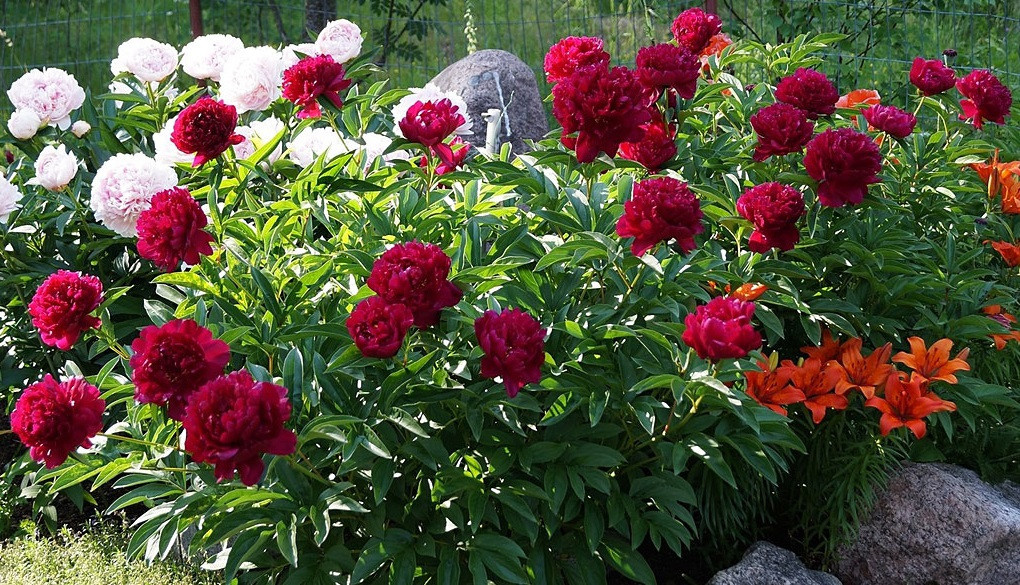 Источник: https://clck.ru/3SmfWo