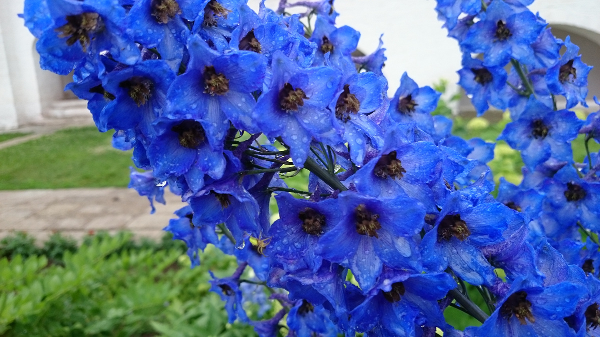 Фото автора.