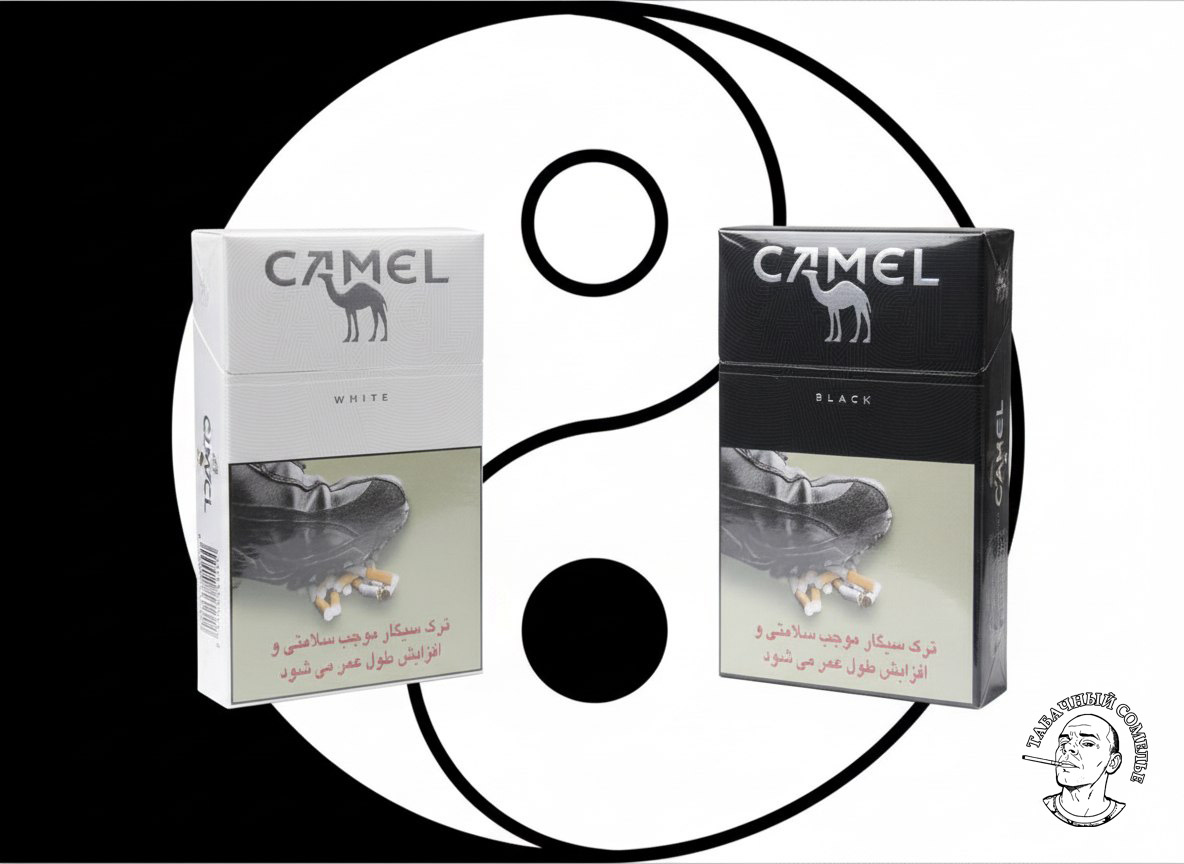 Camel Black & White