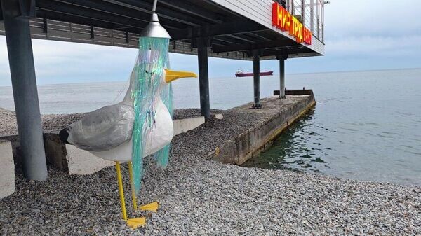    © Telegram-канал главы администрации Ялты Янины Павленко