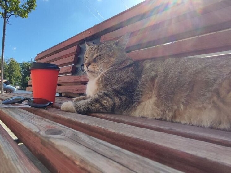     Фото: архив МК в Калининграде.