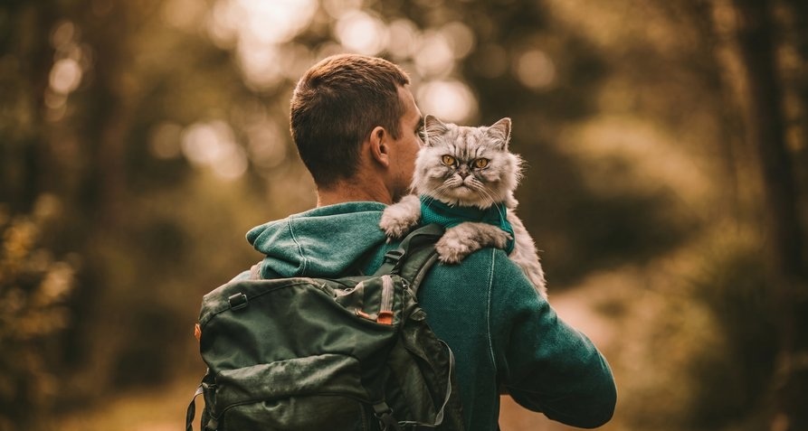 Как пушистые исследователи меняют представление о приключениях