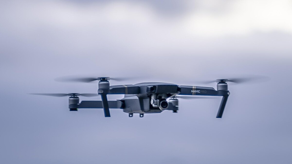    Фото: freepik.com/wirestock