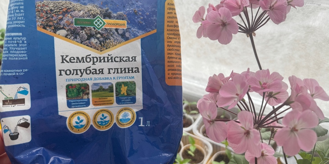 Кембрийская глина в грунте для рассады: преимущества, свойства и роль в удержании влаги