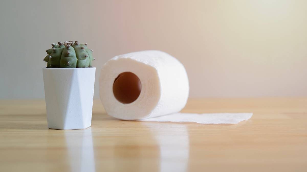    Фото: Shutterstock