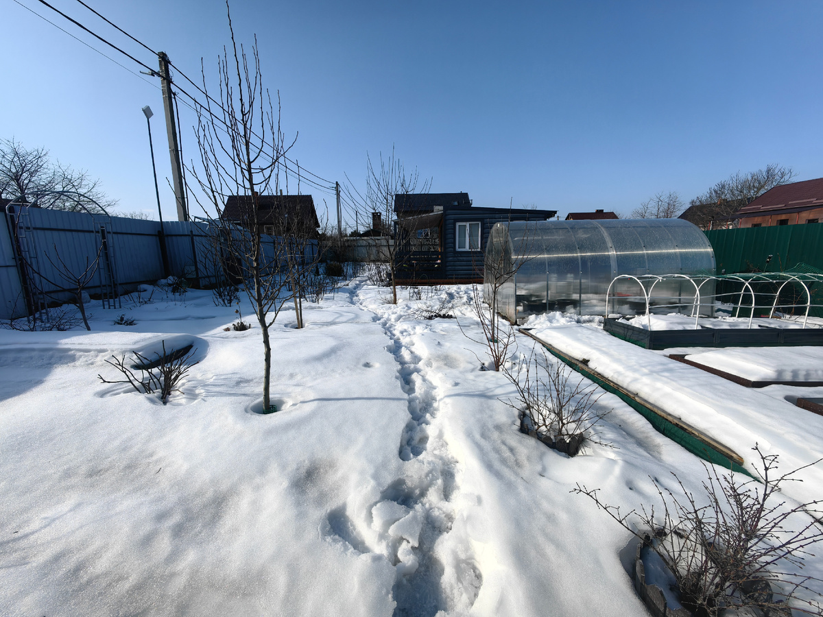 28 февраля 2026