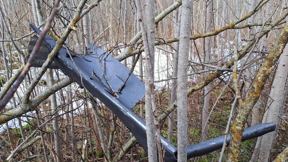 Прибалтам на порку надо встать в очередь: каким будет ответ России на выпады Латвии