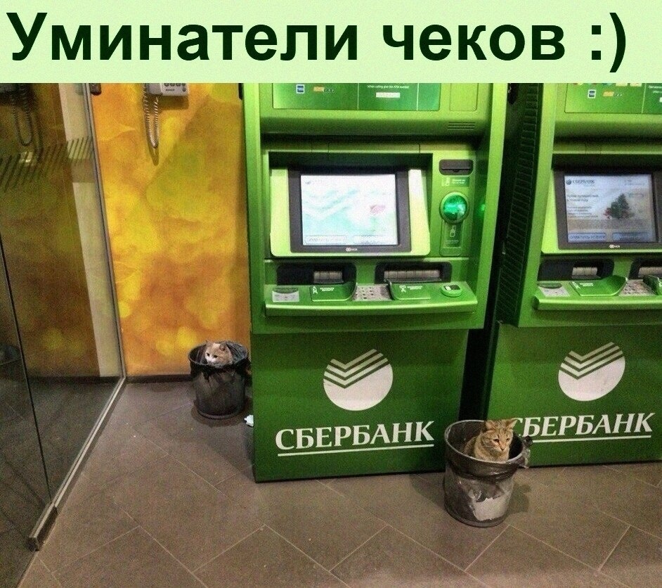 Фото из Яндекс.Картинки :)