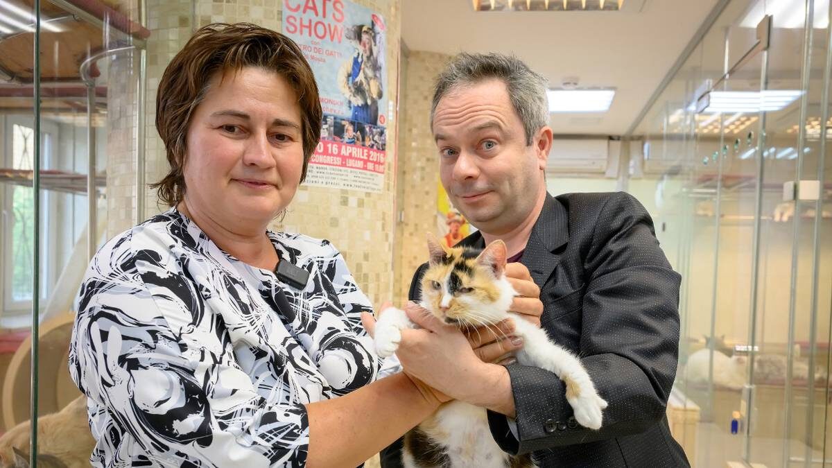    Директор АНО «Кошкин дом» Евгения Михайлова передает спасенную из зоны СВО кошку Глушу заслуженному артисту России Дмитрию Куклачеву для пополнения труппы / Фото: Дмитрий Дубинский / Вечерняя Москва