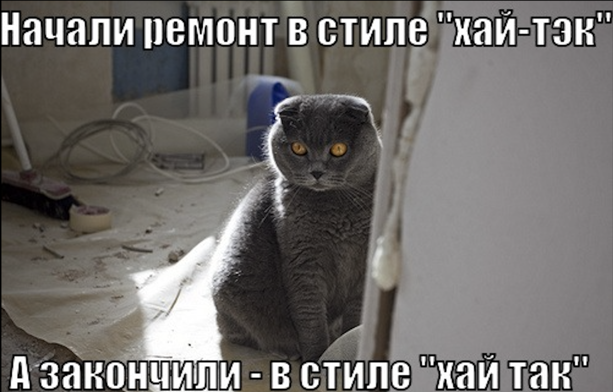 Источник: https://share.google/NpOI0HOUBcKnvOgmT