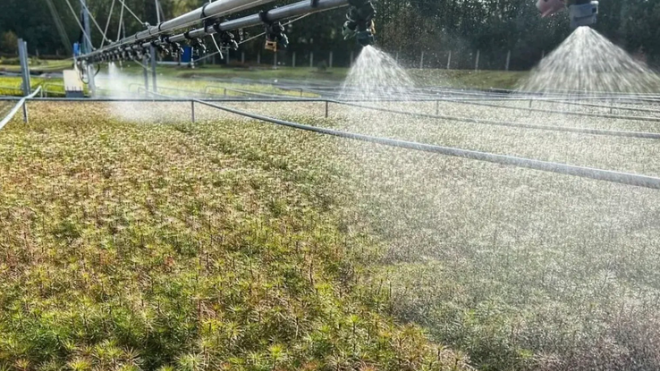 Фото: https://lenobl.ru/ru/dlya-smi/news/92677/