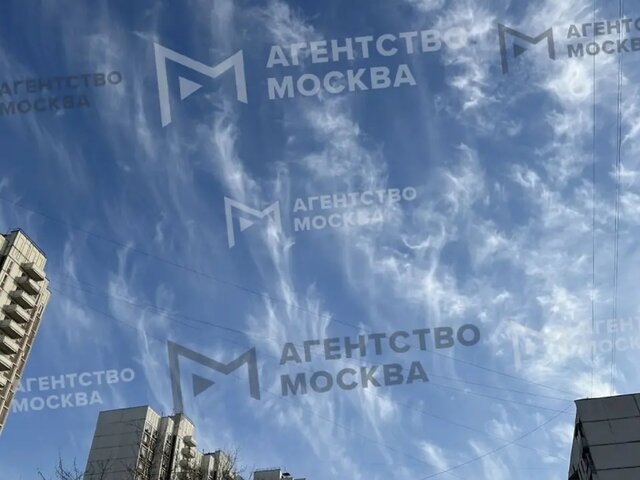    Фото: MAX/"Агентство "Москва"