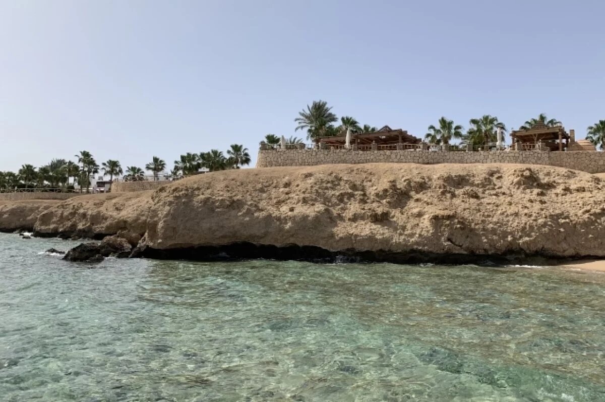    Ученые обнаружили в Египте останки потенциально древнейшего примата Земли