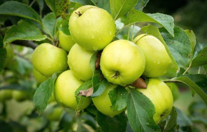   📷
