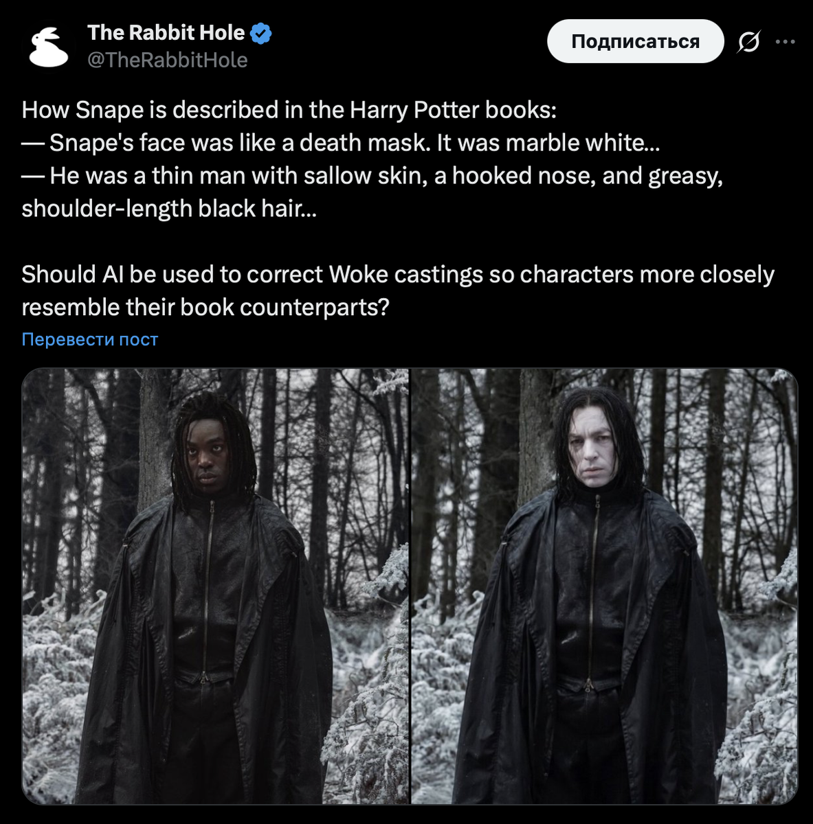     Как Снейп описан в книгах о Гарри Поттере: «Лицо Снейпа было похоже на посмертную маску. Оно было мраморно-белым… Это был худой мужчина с бледной кожей, крючковатым носом и сальными черными волосами до плеч…». Следует ли использовать ИИ для корректировки кастинга персонажей в рамках концепции «прогрессивного мышления», чтобы они больше походили на своих книжных прототипов?