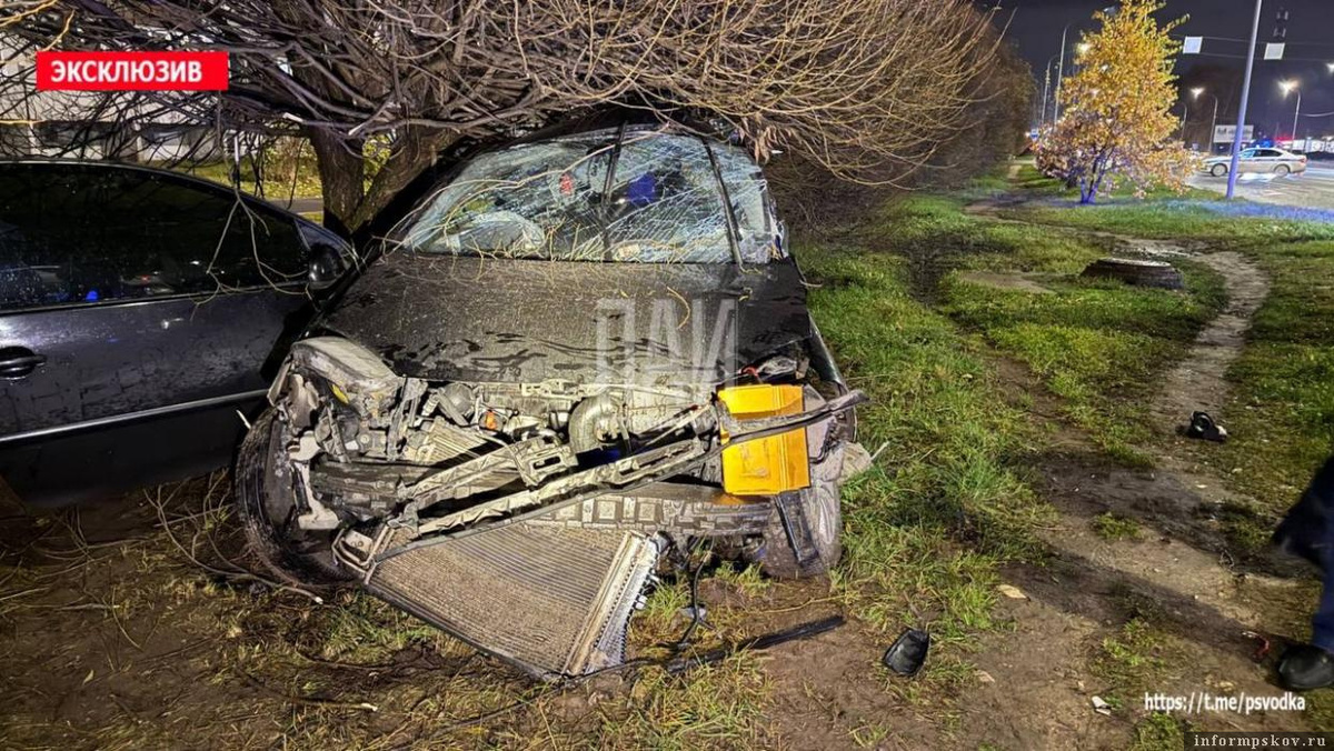 Фото: Telegram-канал «Псковская сводка. ПАИ»