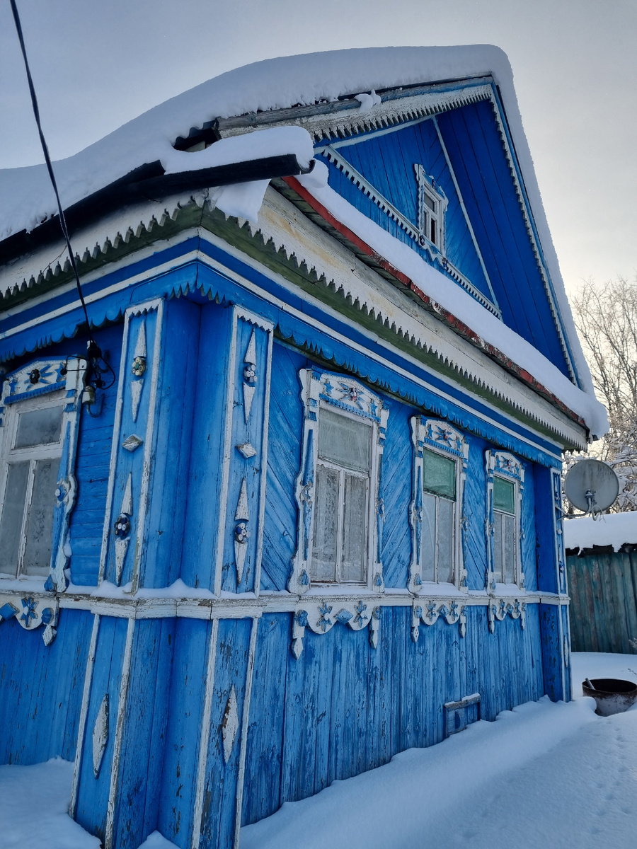 Вот он, наш красавец, в -20 мороза мы приехали на смотрины. Сразу -любовь, и у меня, и у мужа.