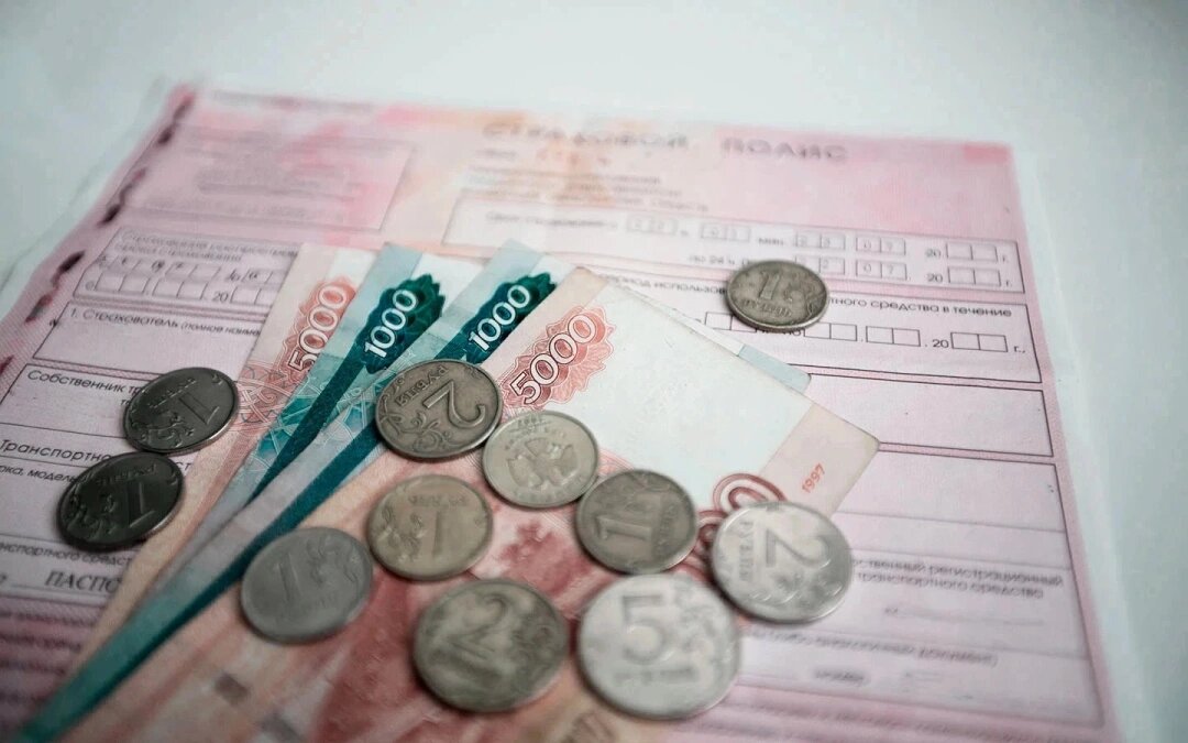 Фото: Tati Tata / Shutterstock / FOTODOM