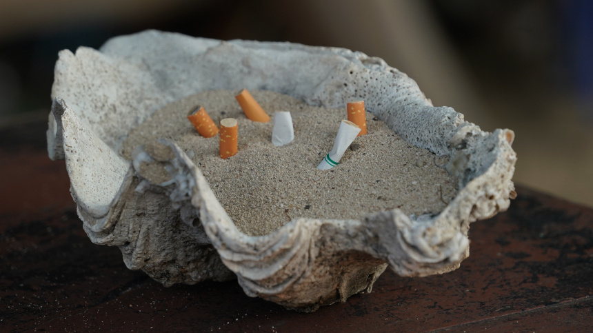    Фото: ИЗВЕСТИЯ/Павел Кассин