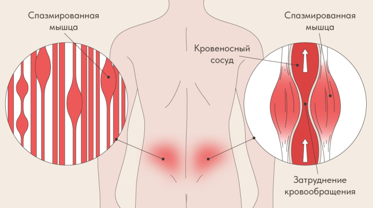 фото из открытого источника